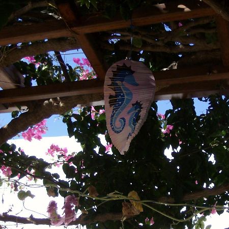 Hippocampus Studios Antiparos Exterior photo