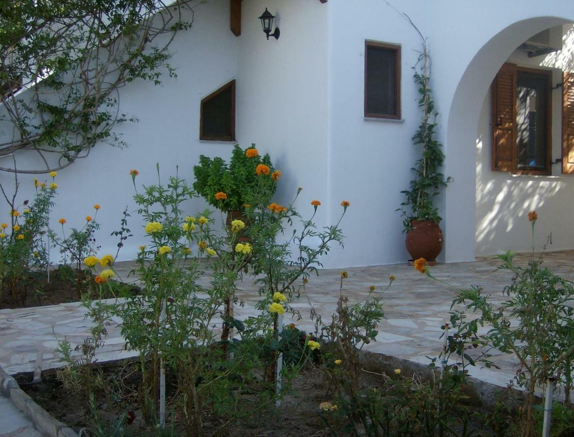 Hippocampus Studios Antiparos Exterior photo